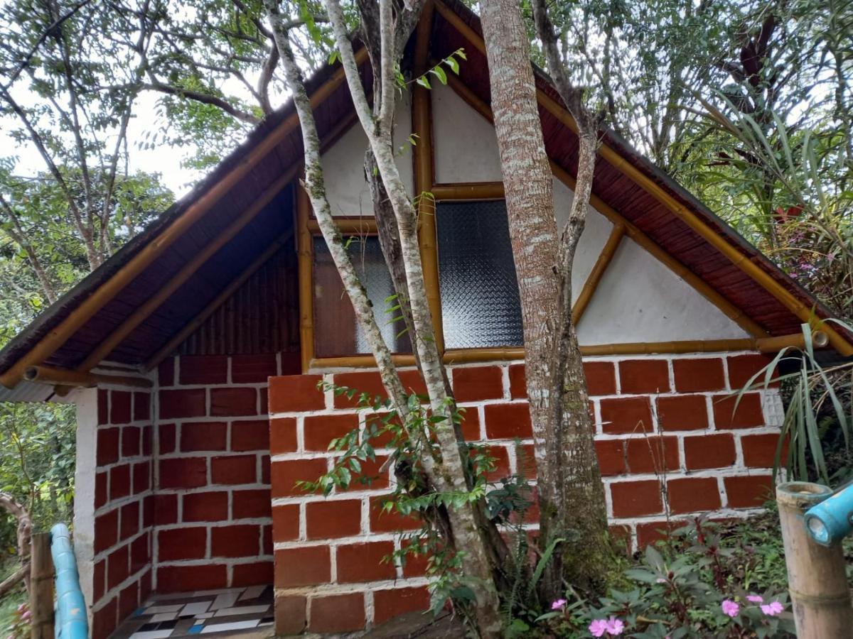 Eco Hotel Manu Viajeros San Agustín Buitenkant foto