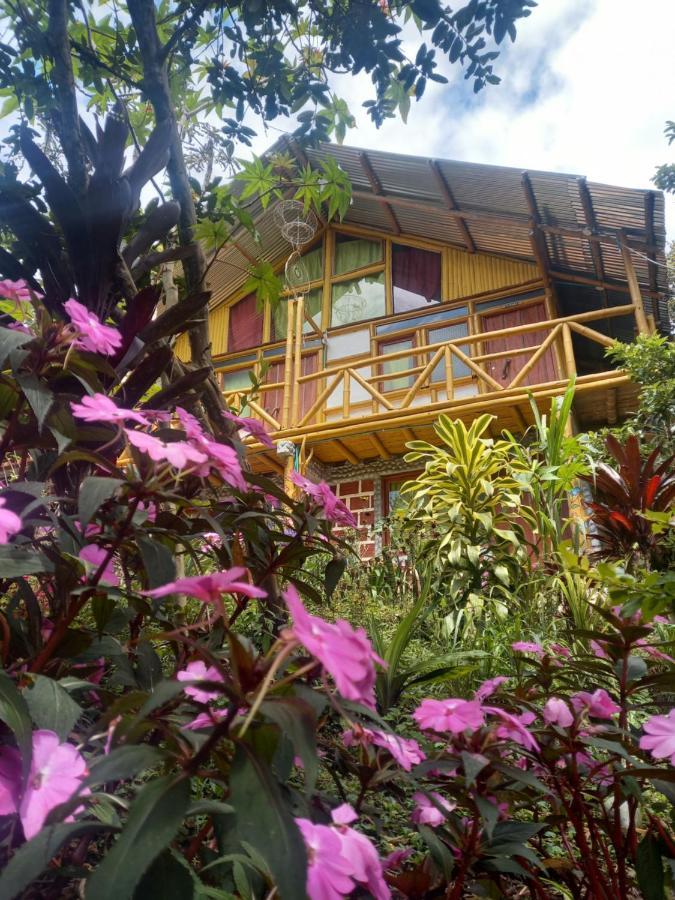 Eco Hotel Manu Viajeros San Agustín Buitenkant foto