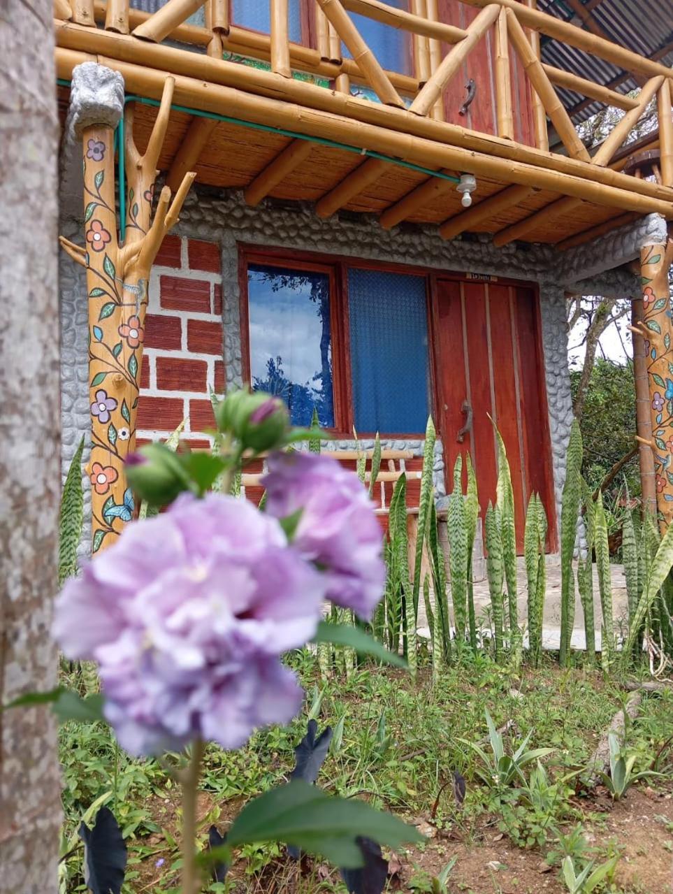 Eco Hotel Manu Viajeros San Agustín Buitenkant foto