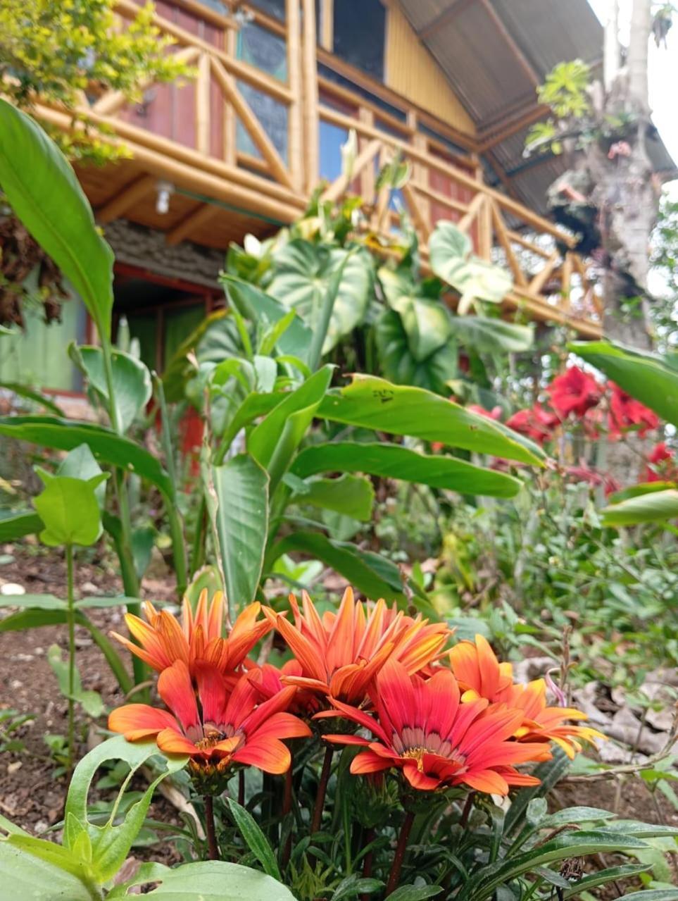 Eco Hotel Manu Viajeros San Agustín Buitenkant foto
