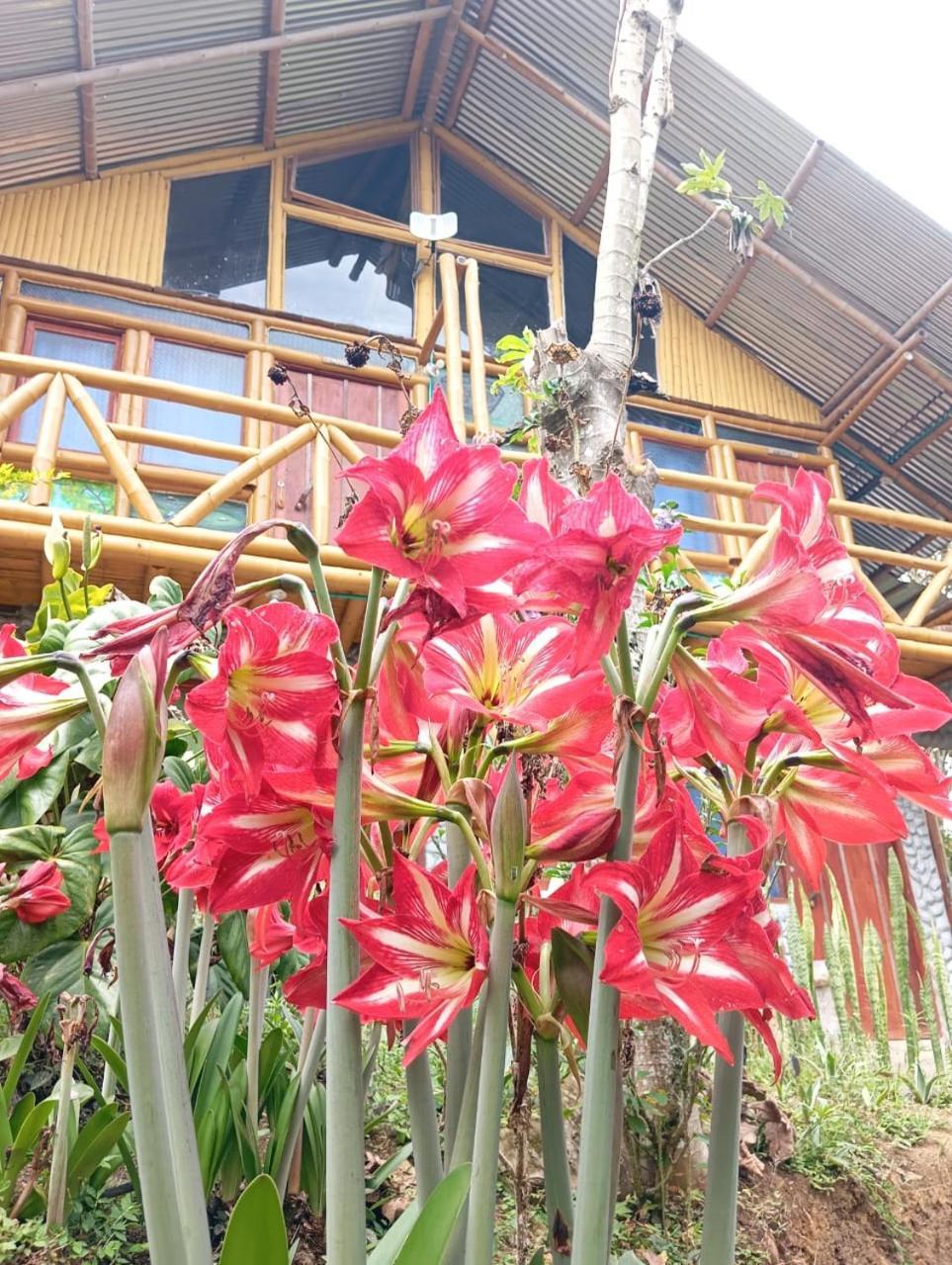 Eco Hotel Manu Viajeros San Agustín Buitenkant foto